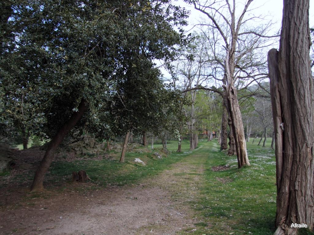 Foto de La Concha (Cantabria), España