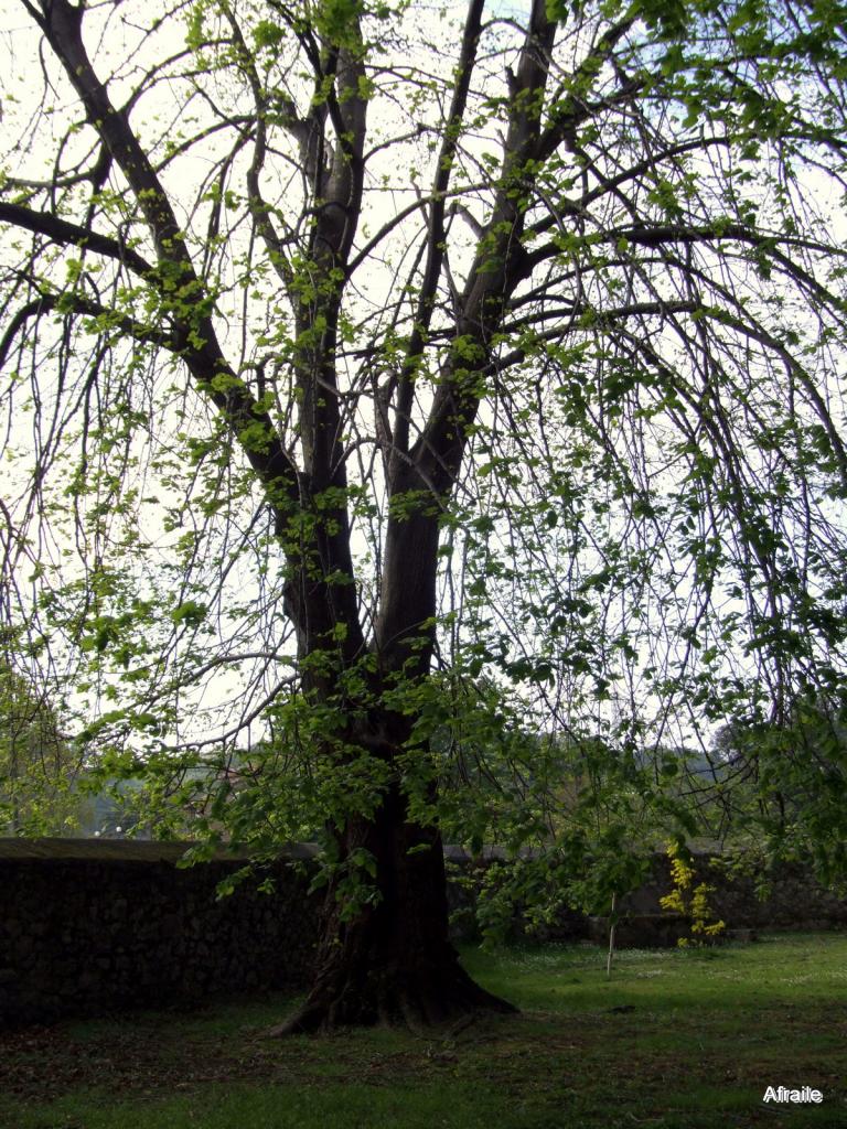 Foto de La Concha (Cantabria), España