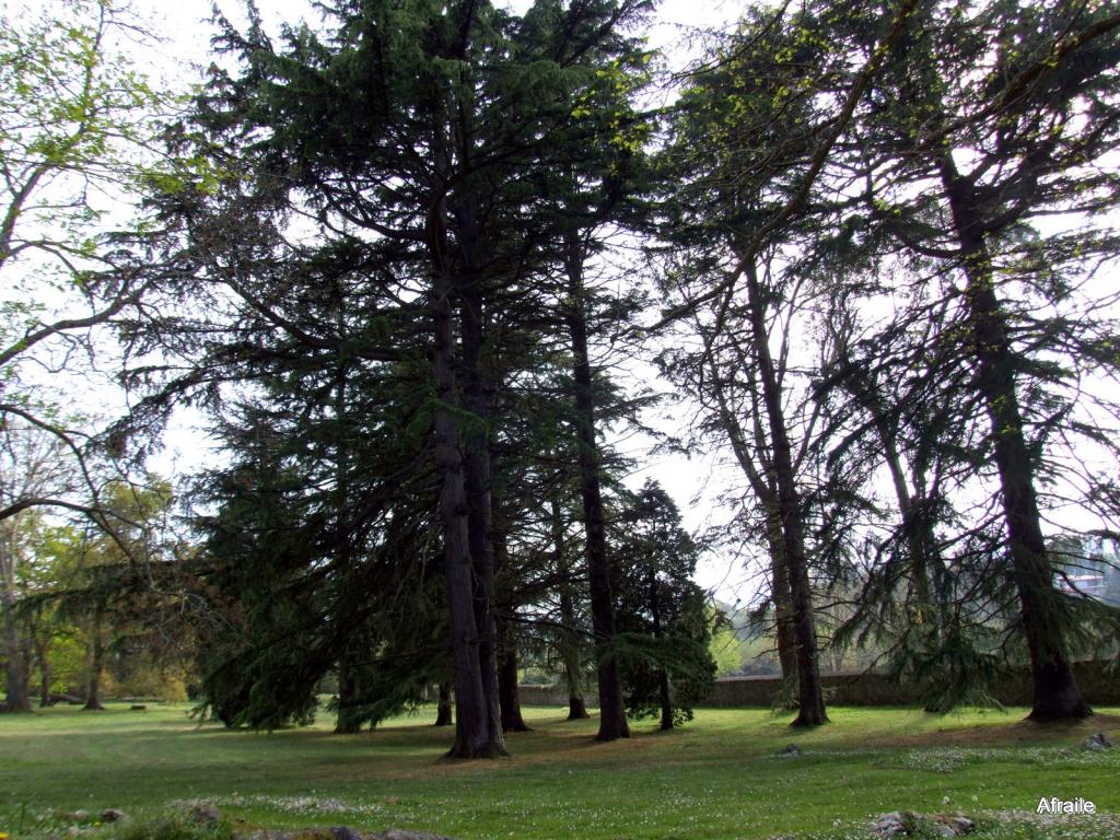 Foto de La Concha (Cantabria), España