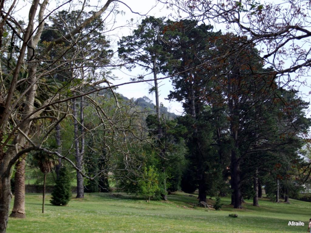 Foto de La Concha (Cantabria), España