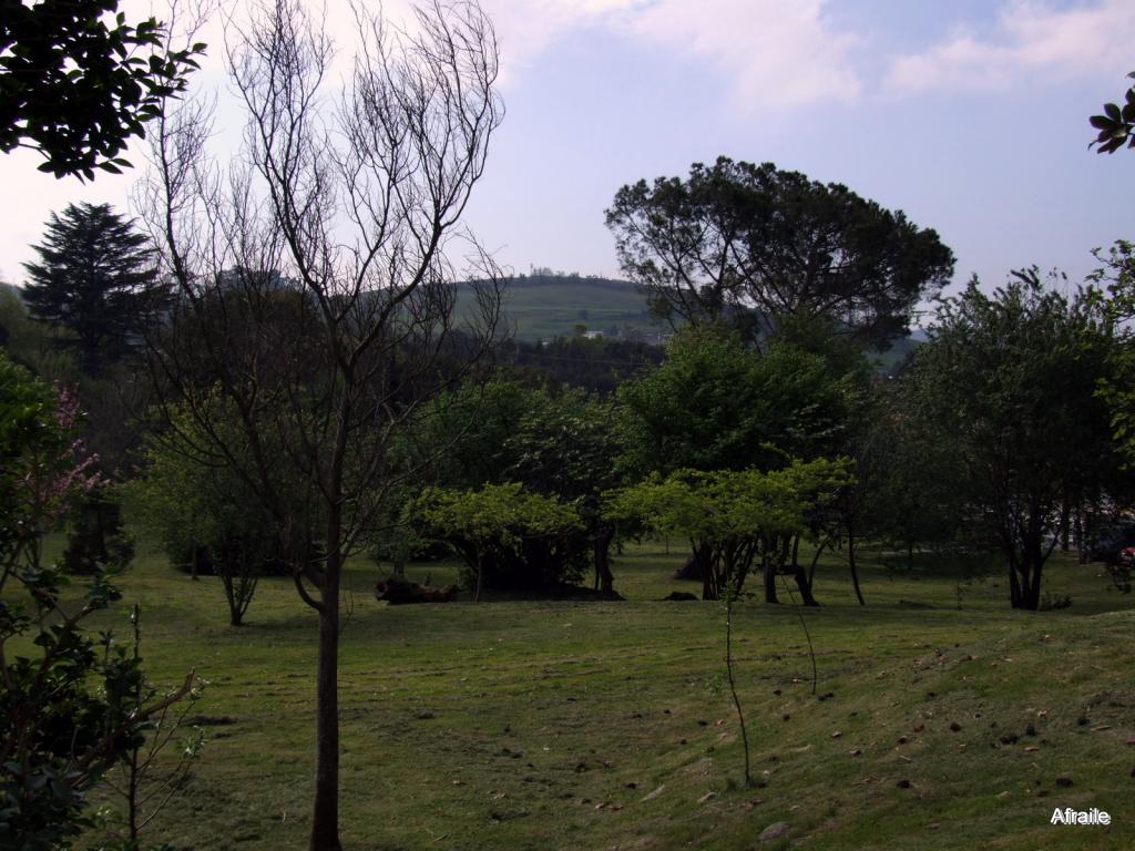 Foto de La Concha (Cantabria), España