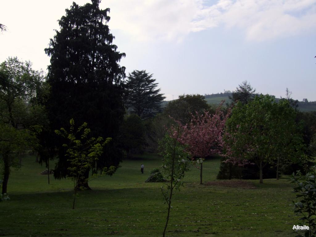 Foto de La Concha (Cantabria), España