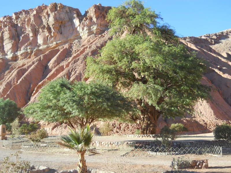 Foto de San Pedro de Atacama, Chile