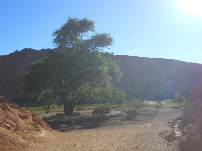 Foto de San Pedro de Atacama, Chile