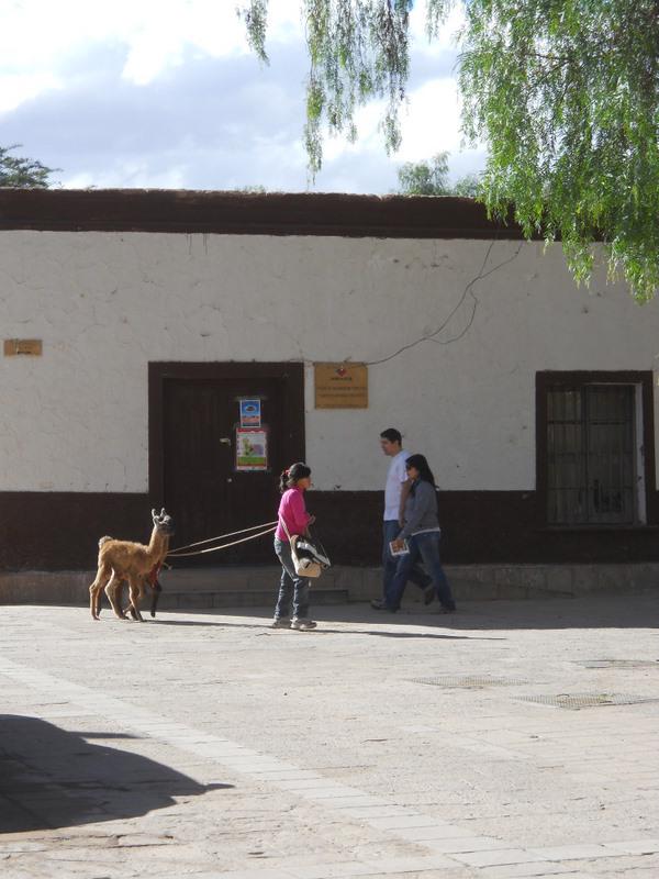 Foto de San Pedro de Atacama, Chile