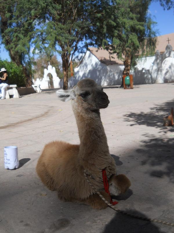 Foto de San Pedro de Atacama, Chile