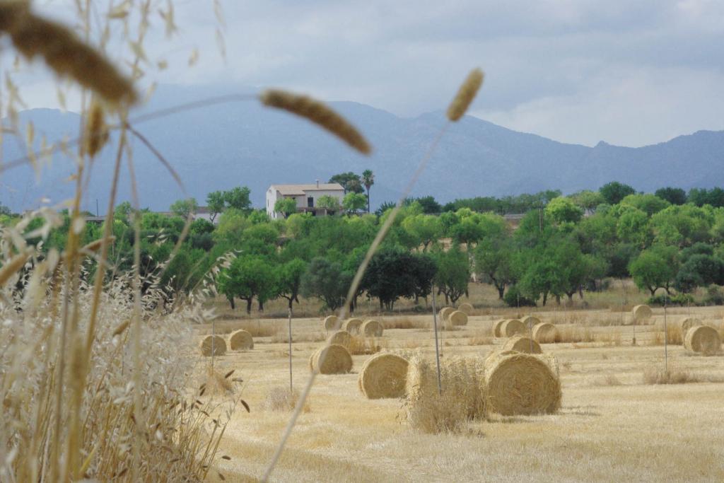 Foto de Inca (Illes Balears), España