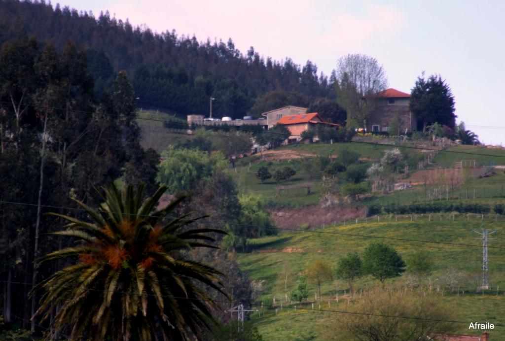 Foto de Parbayon (Cantabria), España