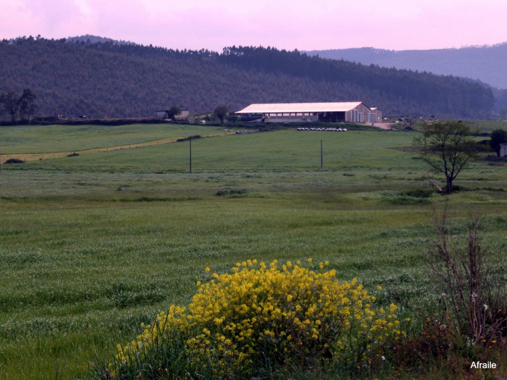 Foto de Parbayon (Cantabria), España