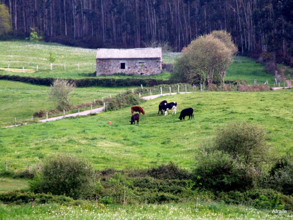 Foto de Parbayon (Cantabria), España