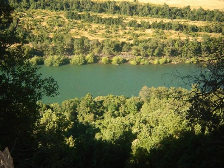 Foto de Loncopangue, Chile