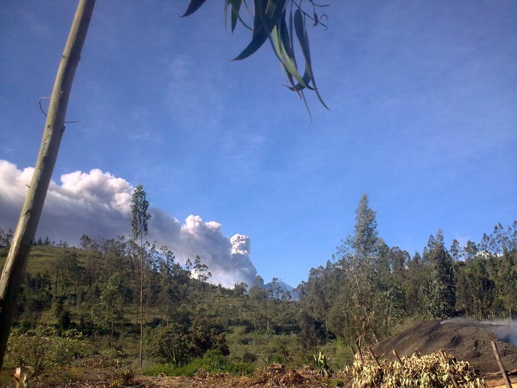 Foto de Bayushig, Ecuador