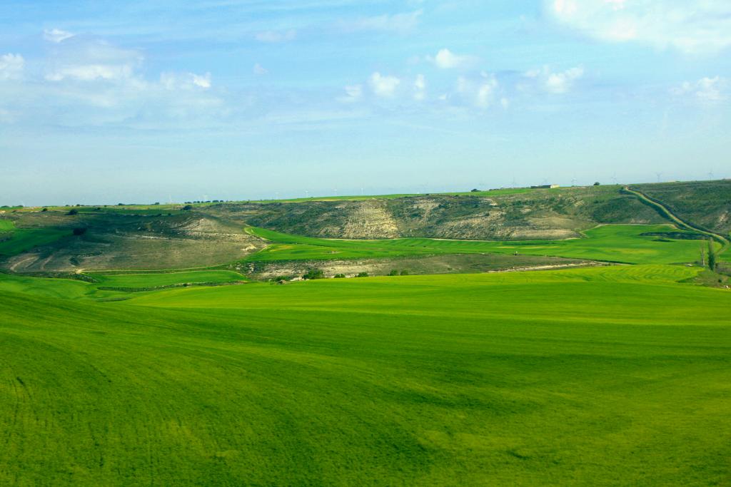 Foto de Castrillo de Onielo (Palencia), España