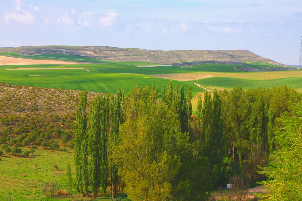 Foto de Castrillo de Onielo (Palencia), España