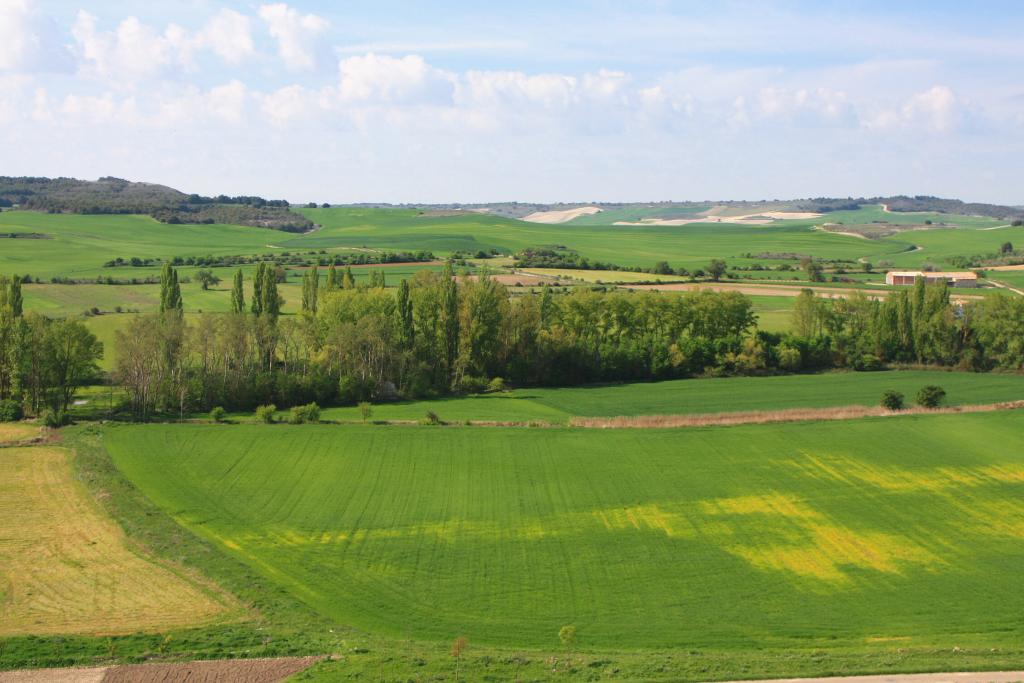 Foto de Vertavillo (Palencia), España