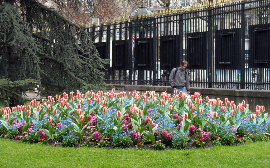 Foto de Paris, Francia