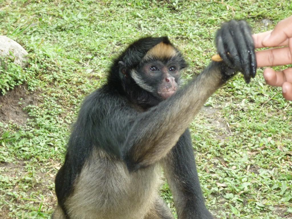 Foto de Shell-Pastaza, Ecuador