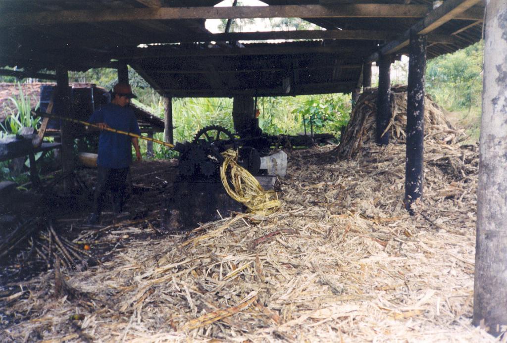 Foto de Puyo (Pastaza), Ecuador