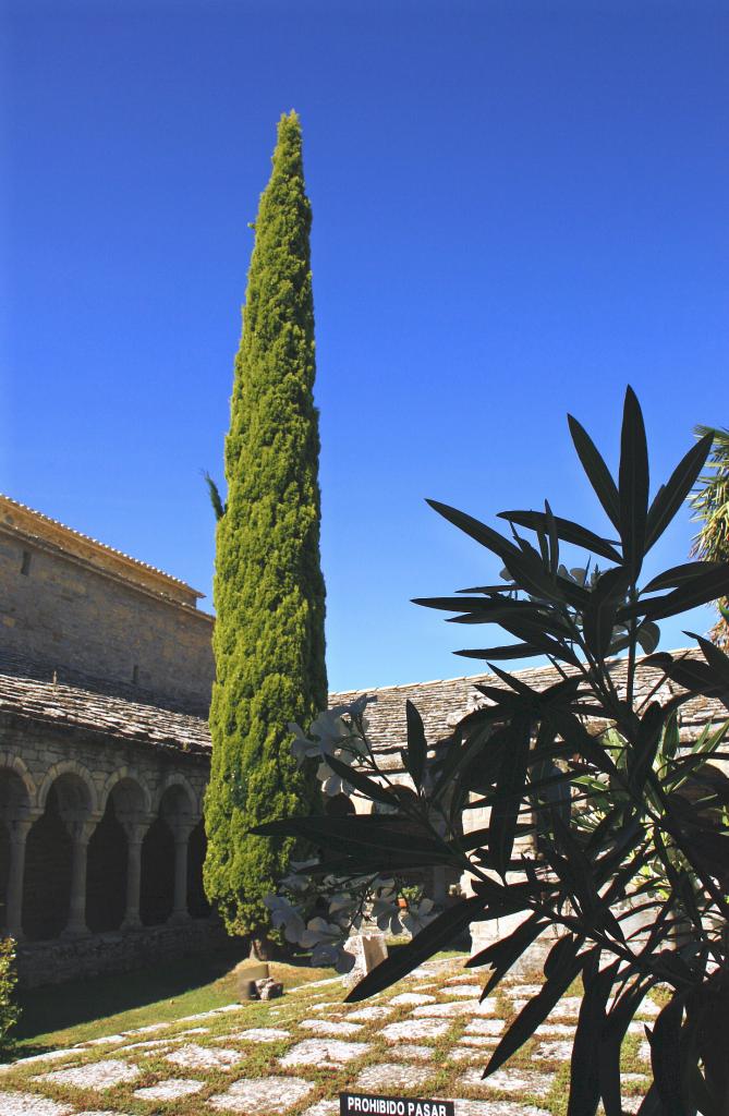 Foto de Roda de Isábena (Huesca), España