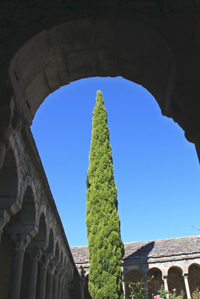 Foto de Roda de Isábena (Huesca), España