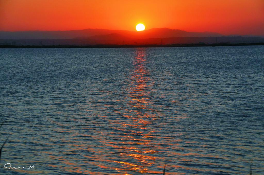 Foto de El Saler (València), España