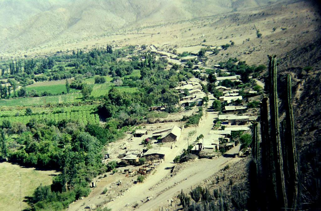 Foto de Vicuña, Chile