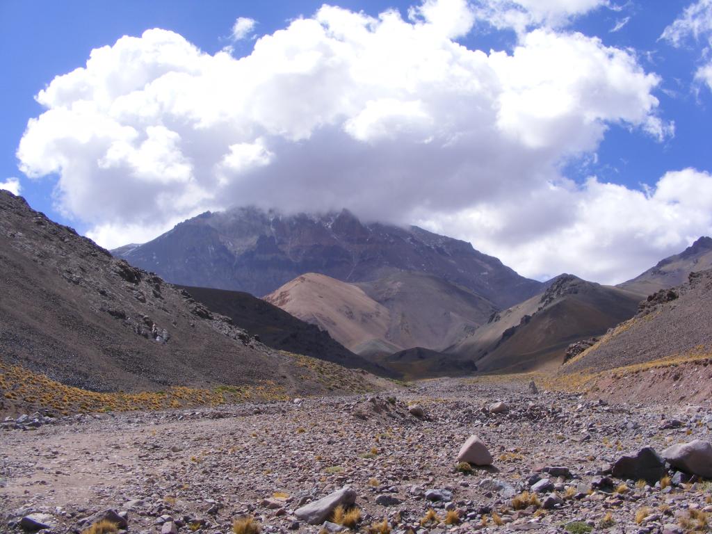 Foto de Vicuña, Chile