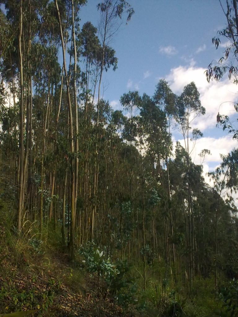 Foto de Bayushig, Ecuador