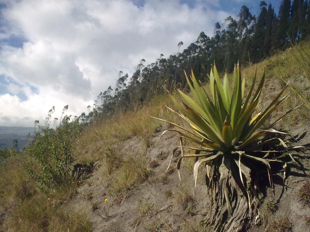 Foto de Bayushig, Ecuador