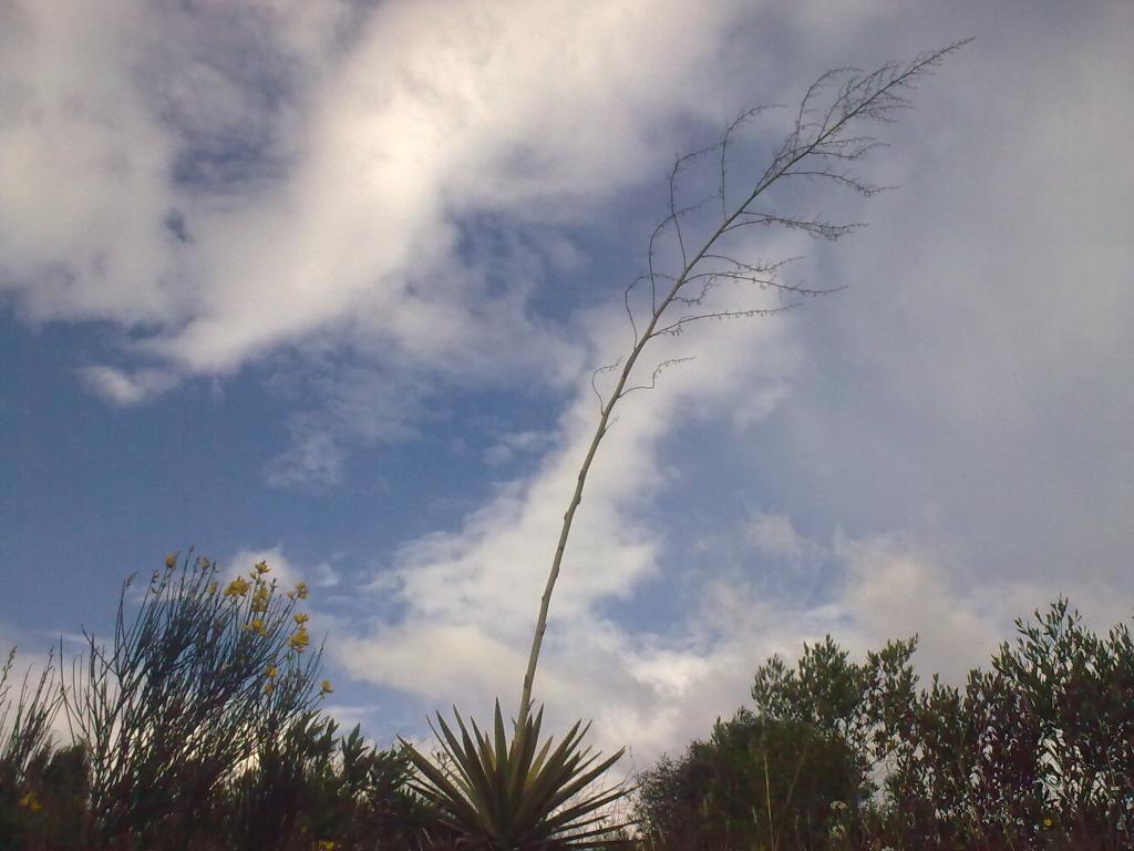 Foto de Bayushig, Ecuador