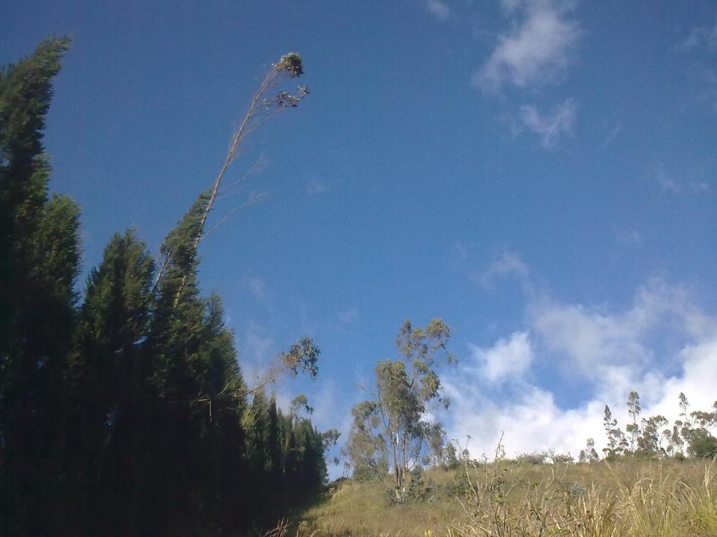 Foto de Bayushig, Ecuador