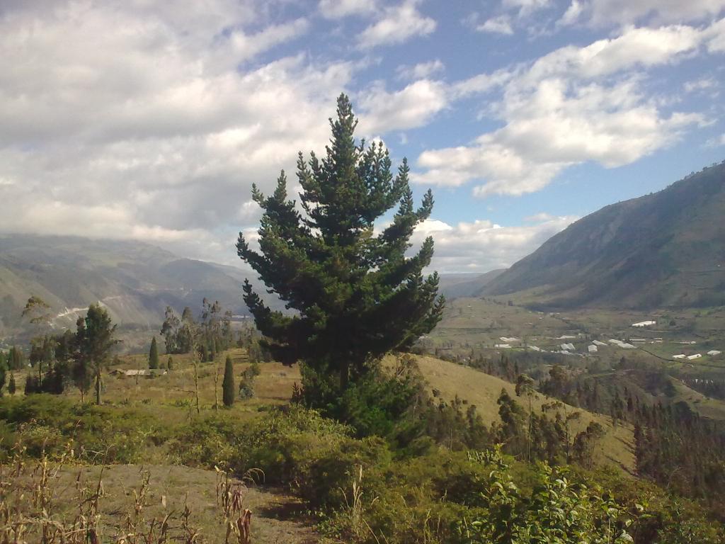 Foto de Bayushig, Ecuador