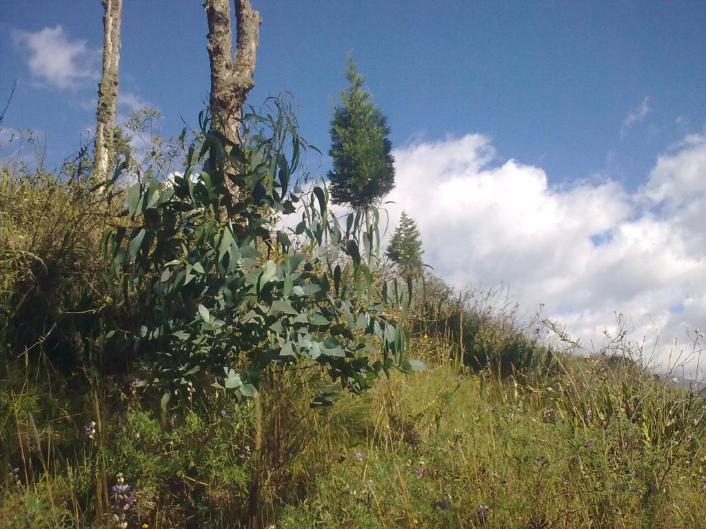 Foto de Bayushig, Ecuador