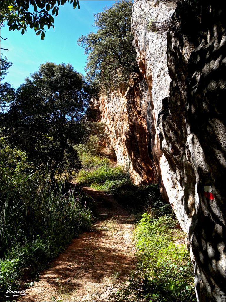 Foto de Somaen (Soria), España