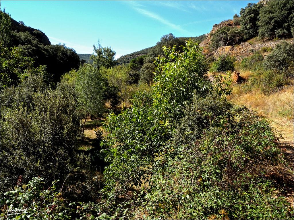 Foto de Somaen (Soria), España