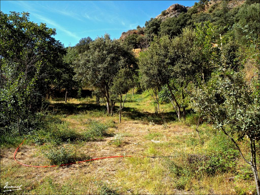 Foto de Somaen (Soria), España