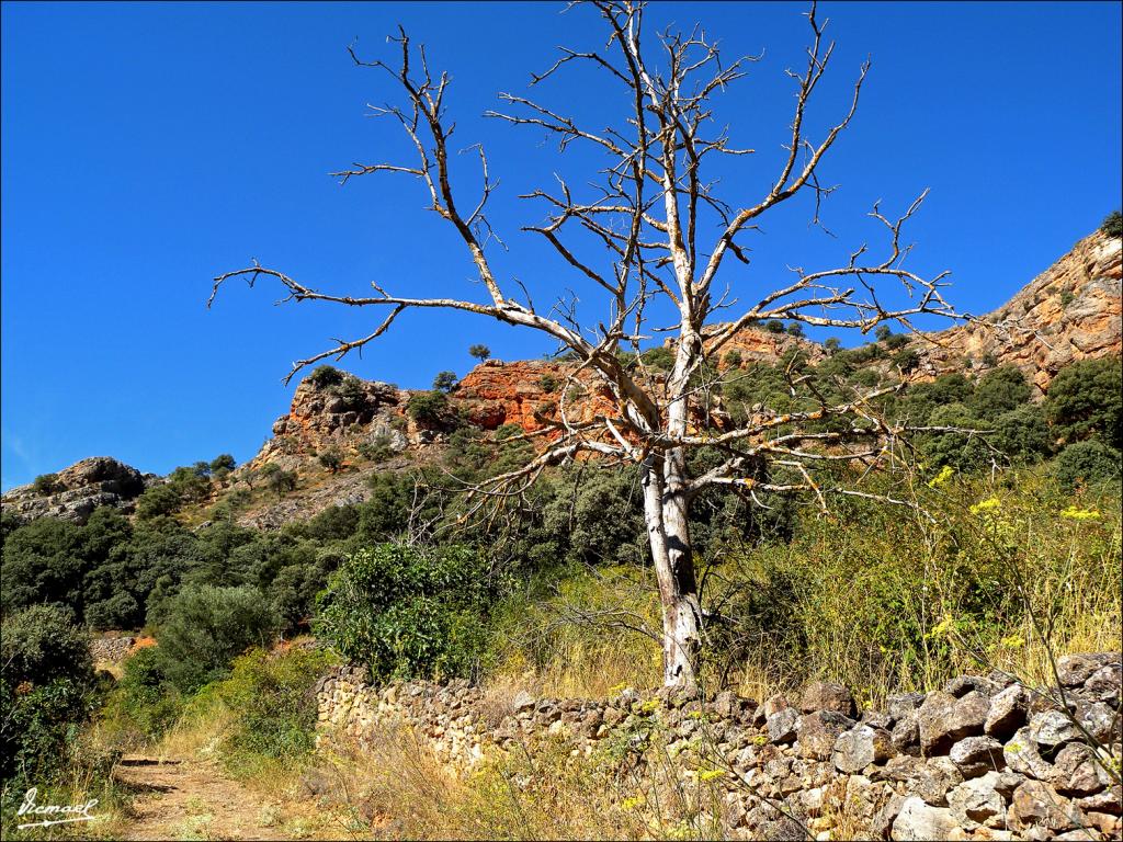 Foto de Somaen (Soria), España