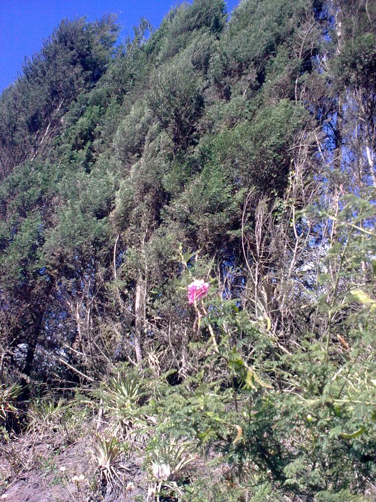 Foto de Bayushig, Ecuador