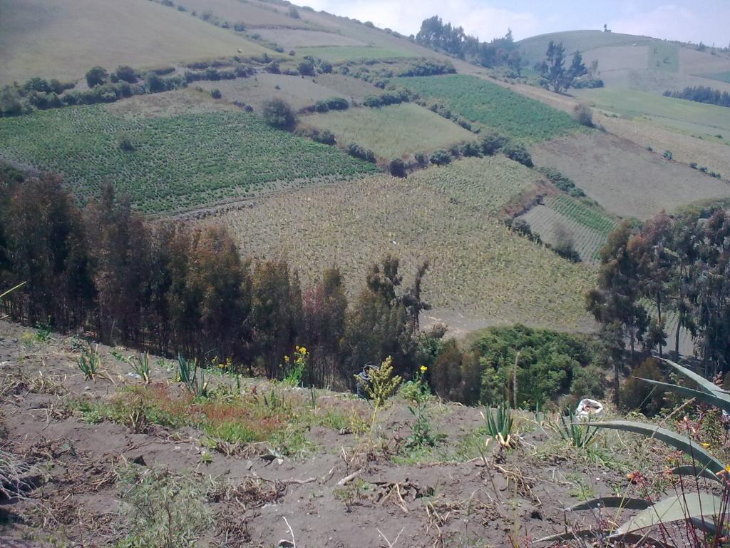 Foto de Guano, Ecuador