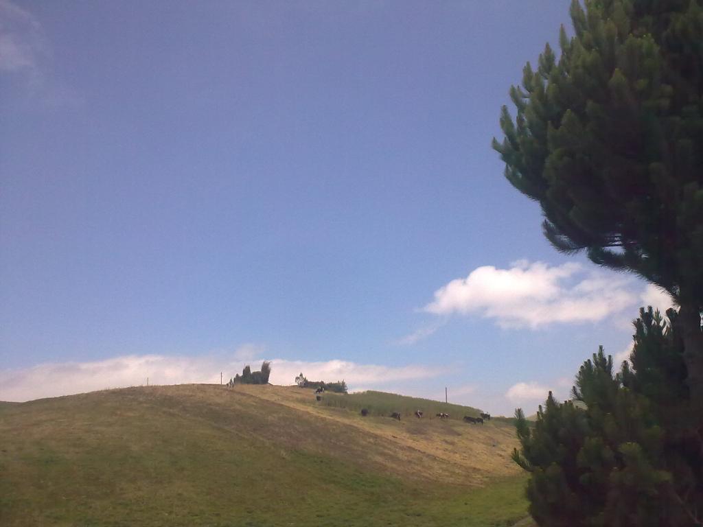 Foto de Guano, Ecuador