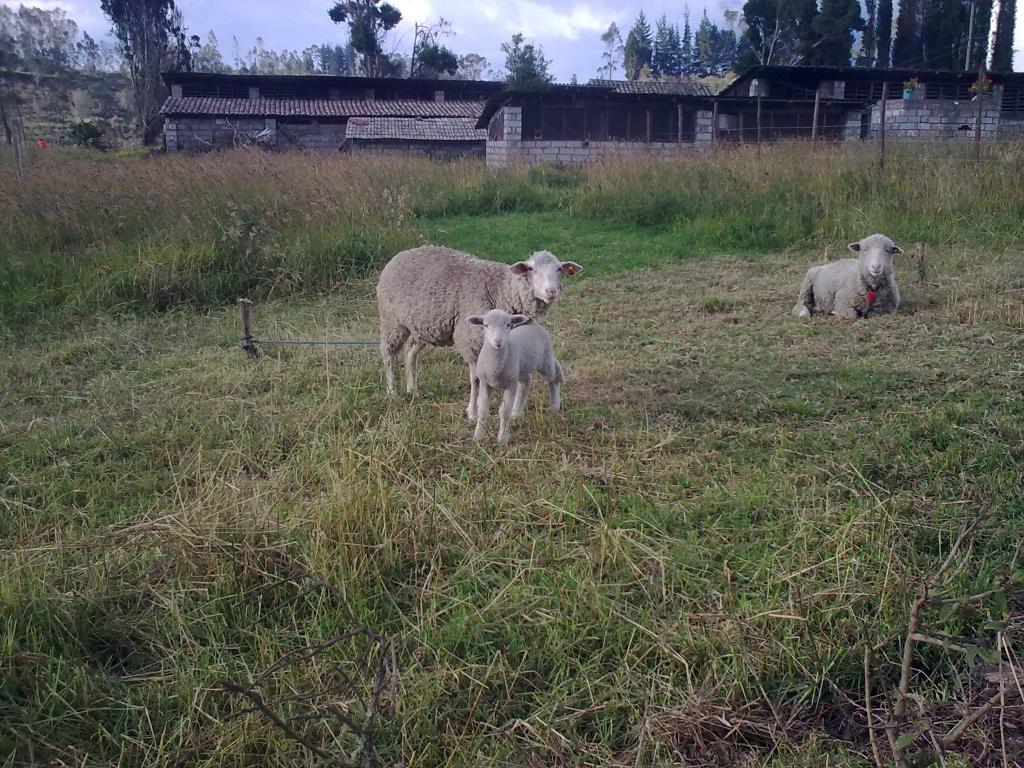 Foto de Bayushig, Ecuador