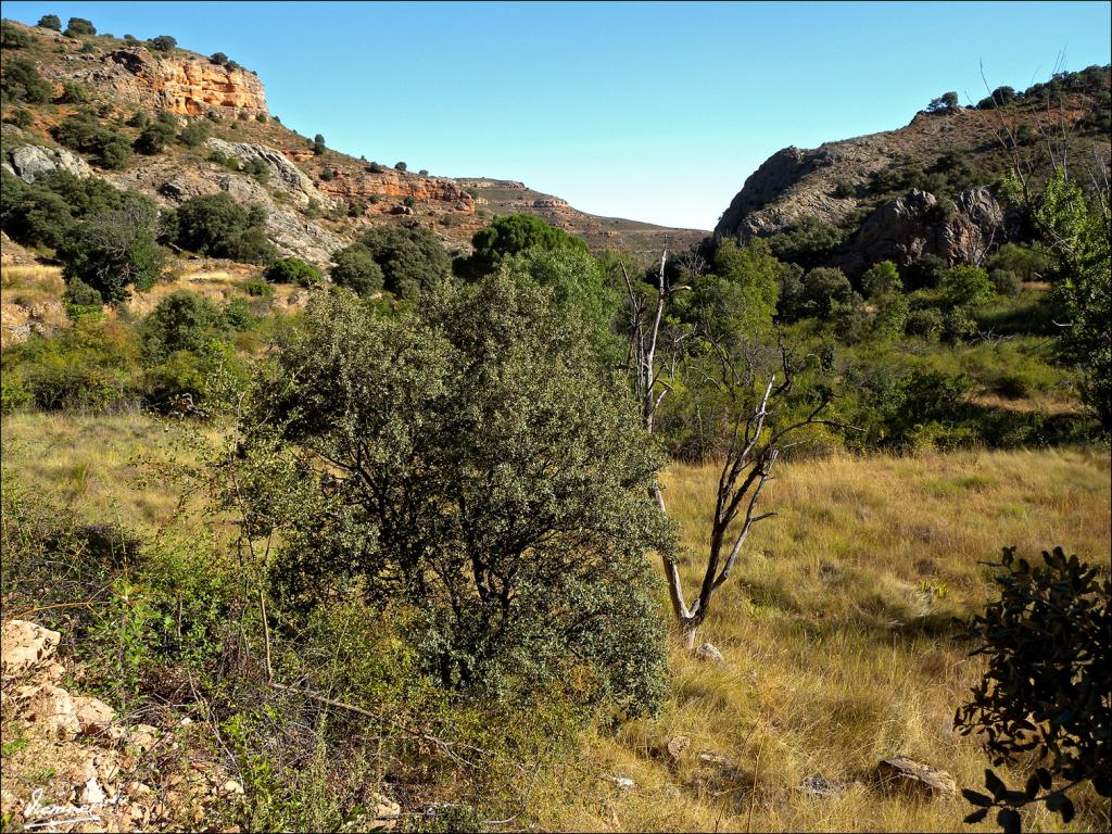 Foto de Somaen (Soria), España