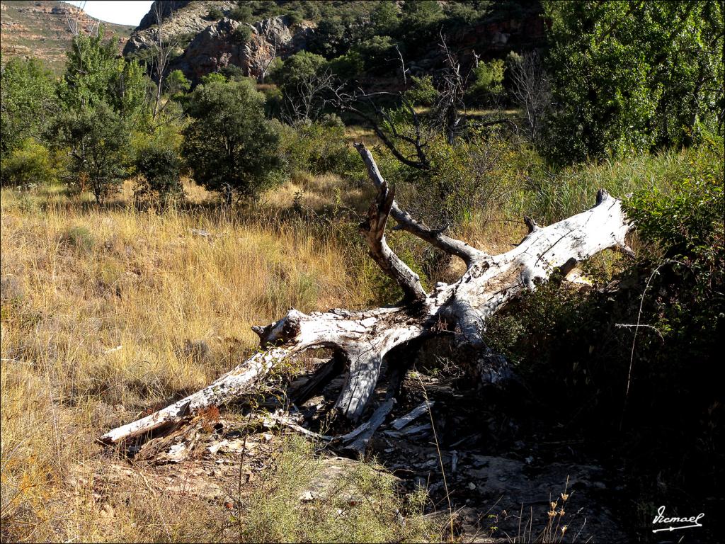 Foto de Somaen (Soria), España