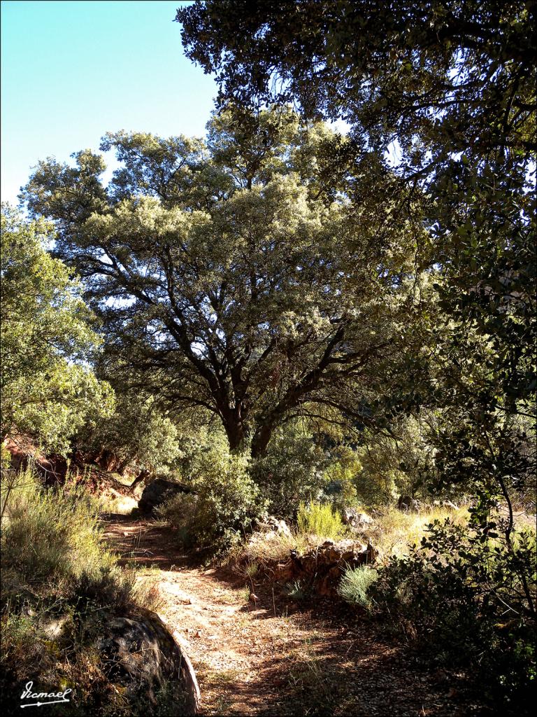 Foto de Somaen (Soria), España