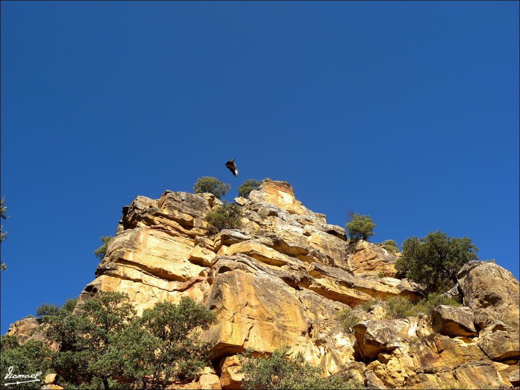 Foto de Somaen (Soria), España