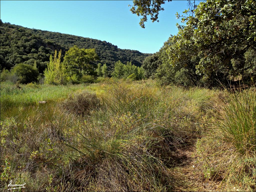 Foto de Somaen (Soria), España