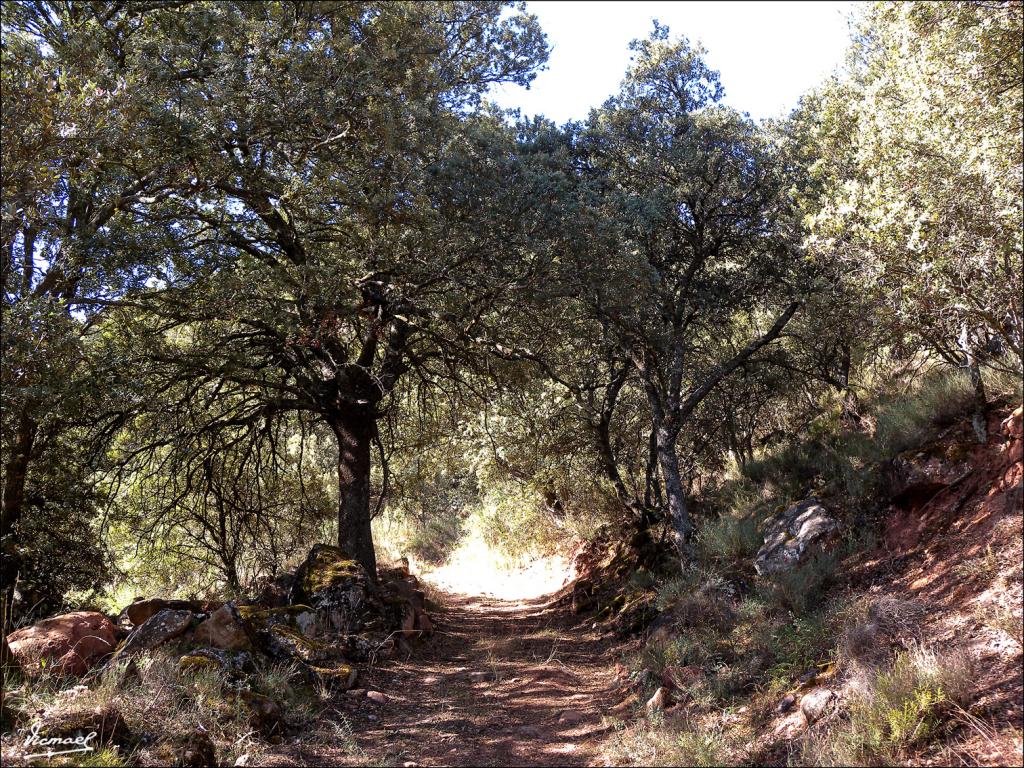 Foto de Somaen (Soria), España