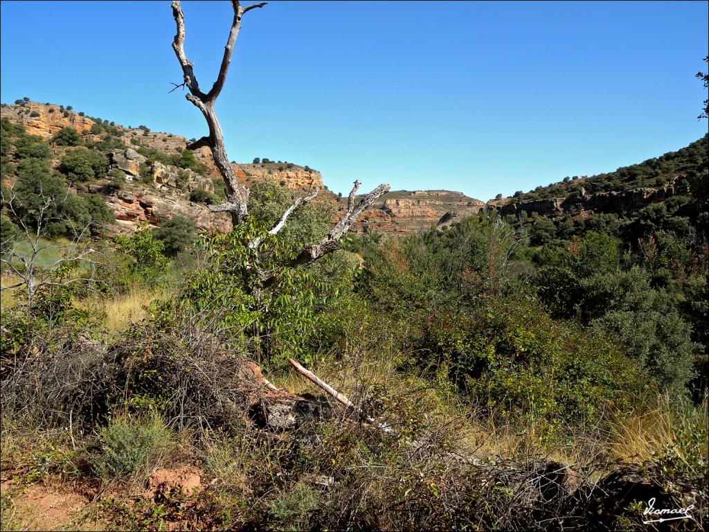 Foto de Somaen (Soria), España