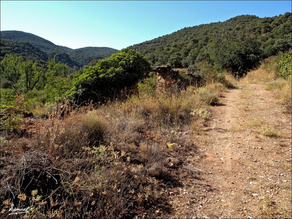 Foto de Somaen (Soria), España