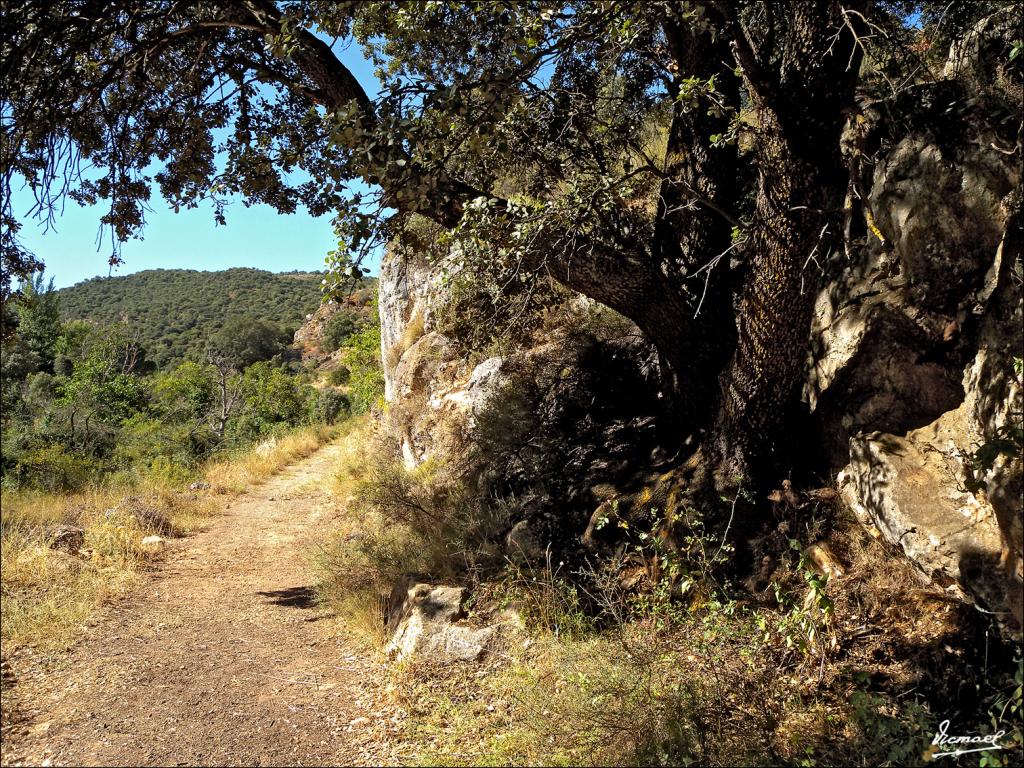 Foto de Somaen (Soria), España